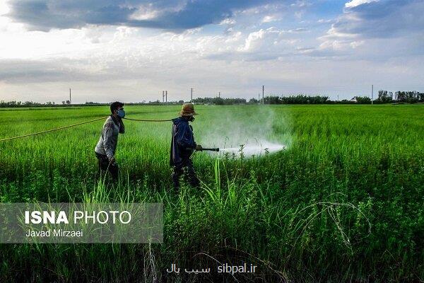 نظارت کامل بر واردات و تولید آفت کش ها